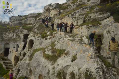 Gravina, escursione guidata nell'habitat rupestre con Murgia Trekking